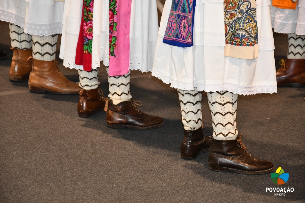 Exposição de Camélias_2023_214