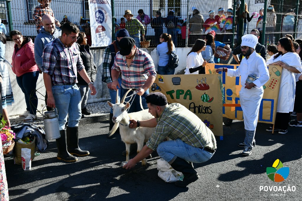 Desfile de Carnaval pelas ruas da Vila da Povoacao_2023_1