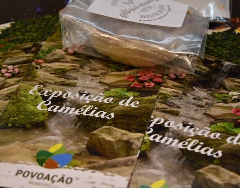 BTL Povoação_2022_114
