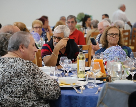Comemoracao Dia Internacional do Idoso na Madeira Velha_2022_82