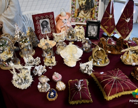 Exposição de Camélias_2023_122